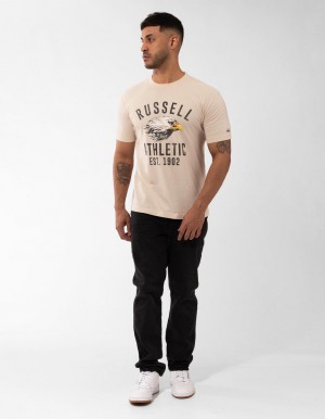 Grey Russell Athletic Screaming Eagle Men T Shirts | 65SAFTRXM