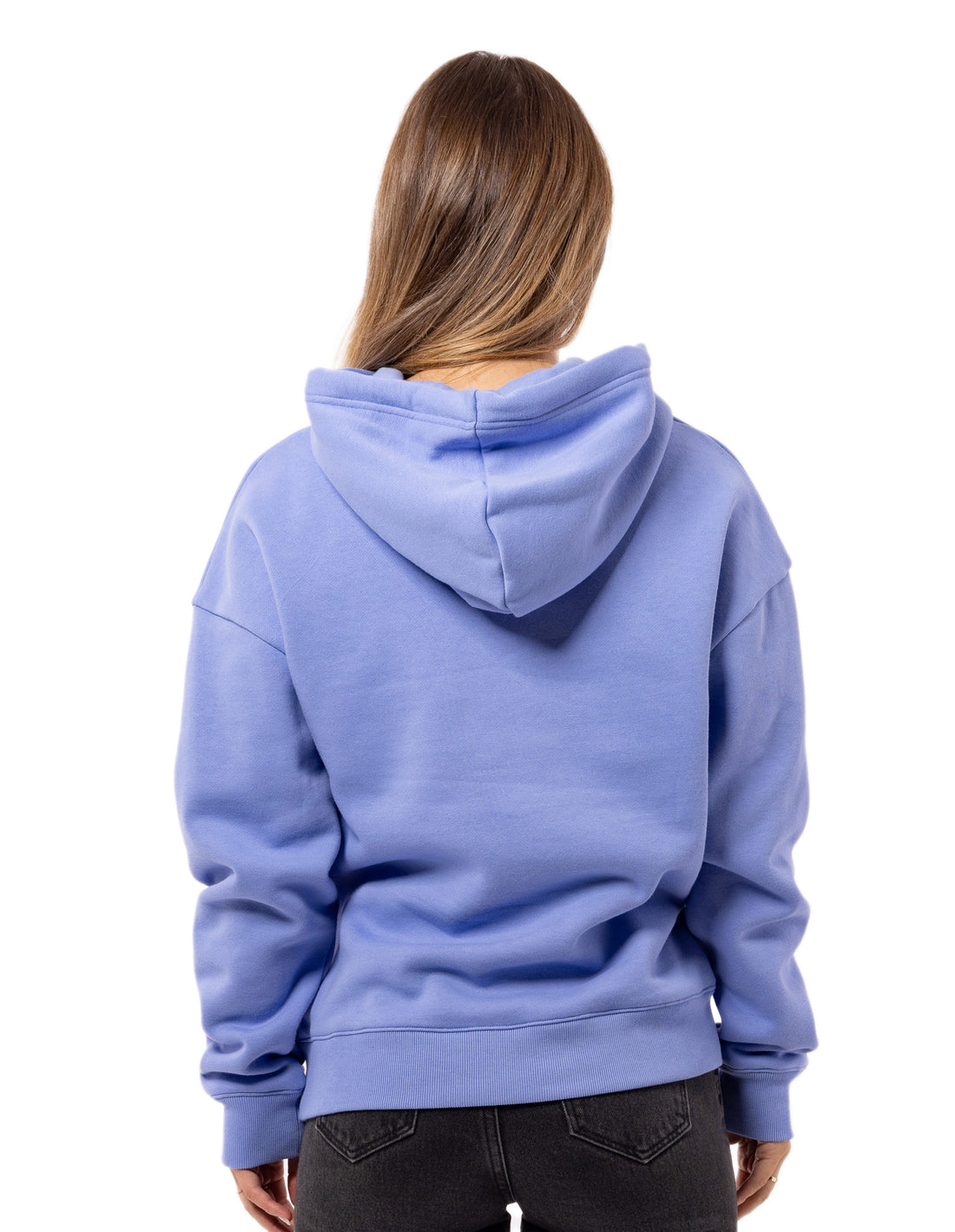 Lavender Russell Athletic Collegiate Women Hoodie | 04QCRBFHT